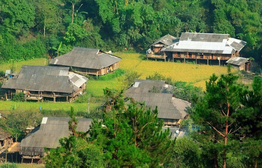 Chiang Mai: Doi Suthep and Hmong Village Half-Day Tour - Five things to know before you book
