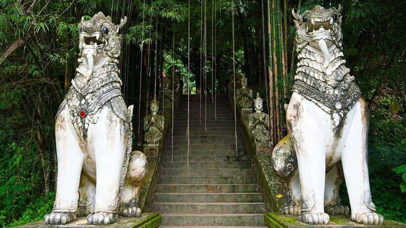 Chiang Mai: Doi Suthep and Wat Pha Lat Temple Evening Tour - What the $22 price really covers