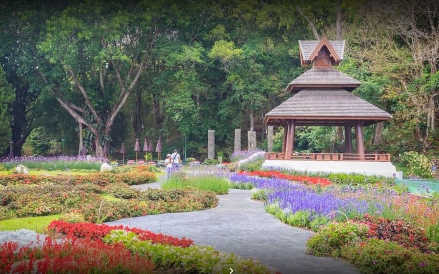 Chiang Mai: Doi Suthep National Park Leisure Hiking & Biking - Who will enjoy this most