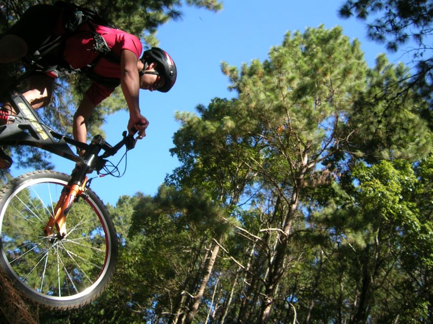Chiang Mai: Doi Suthep National Park Leisure Hiking & Biking - Wat Pha Lat is the quiet counterpoint