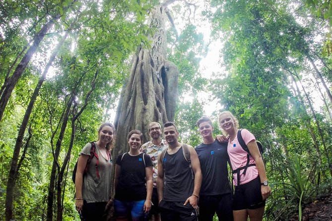 Chiang Mai: Doi Suthep Summit Trek – 7 Hour Pure Hiking Adventure - Quick Facts Before You Book