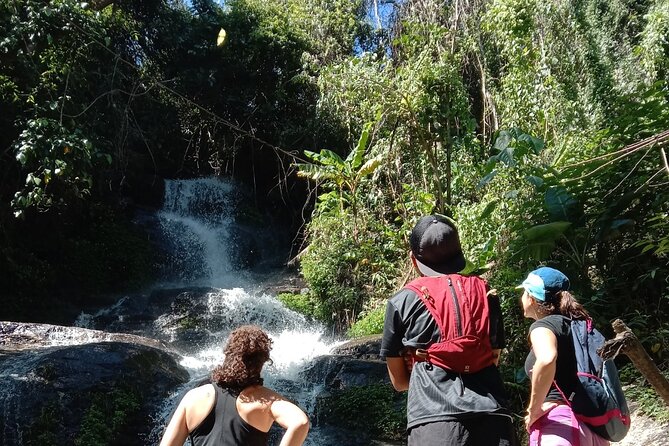 Chiang Mai: Doi Suthep Summit Trek – 7 Hour Pure Hiking Adventure - Reaching Wat Phra That Doi Suthep