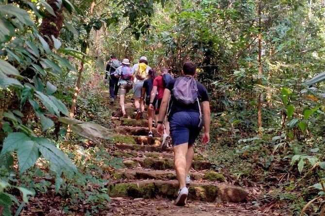 Chiang Mai: Doi Suthep Summit Trek – 7 Hour Pure Hiking Adventure - Viewpoints, Waterfalls, and the Return Down