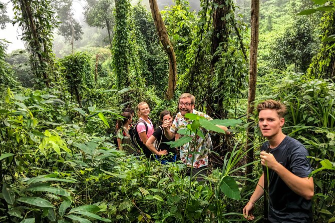 Chiang Mai: Doi Suthep Summit Trek – 7 Hour Pure Hiking Adventure - Who Will Enjoy This Hike Most