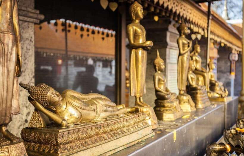 Chiang Mai - Doi Suthep Temple & Wat Pha Lat Hike - Who should book this Chiang Mai temple tour?