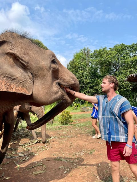 Chiang Mai: Elephant Dream Project Sanctuary - Half-Day - The long morning ride from Chiang Mai