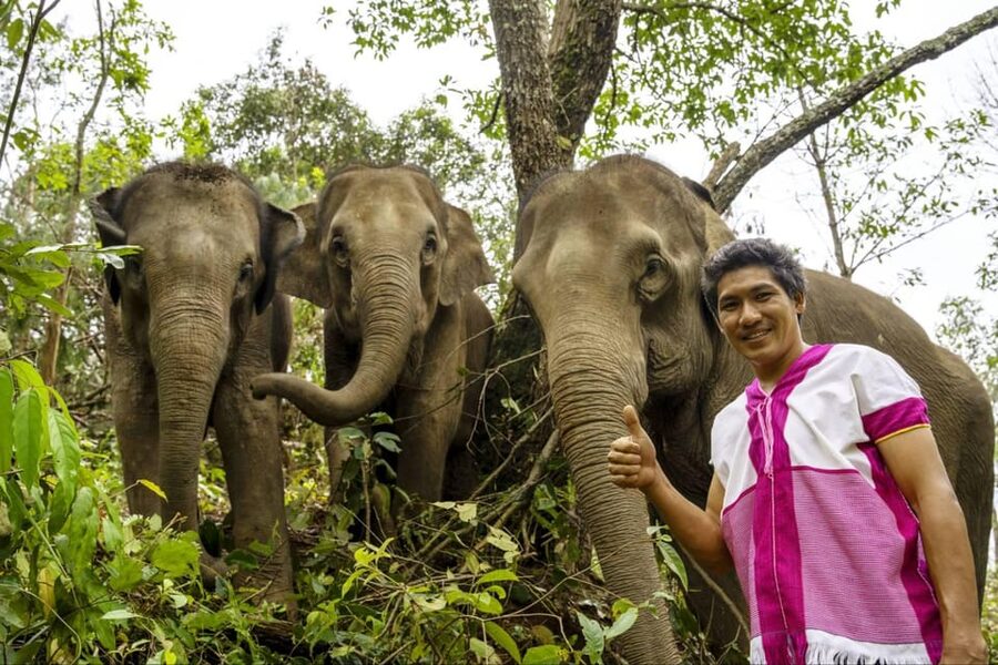 Chiang Mai: Elephant Dream Project Sanctuary - Half-Day - Lunch with the village team