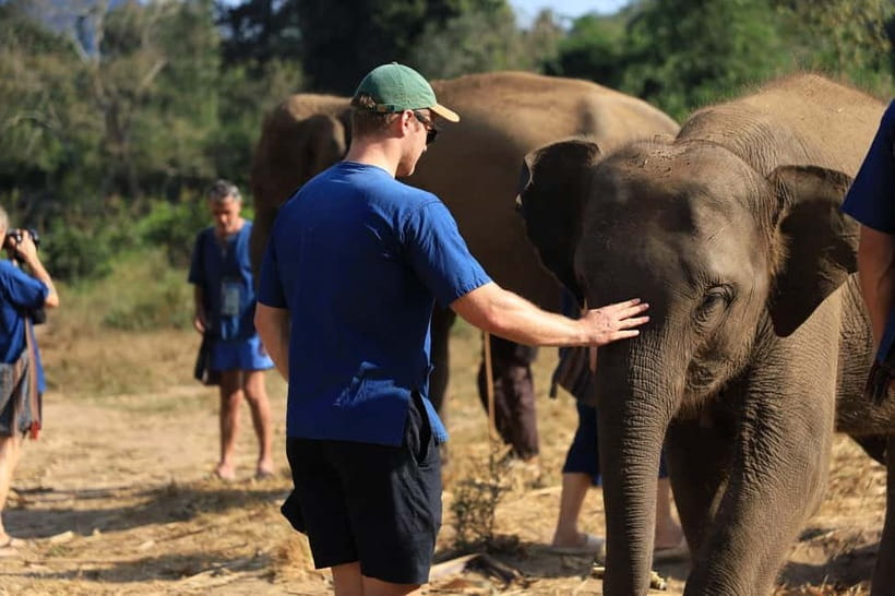 Chiang Mai: Elephant Sanctuary Bamboo Raft & Padthai Cooking - Key things to know before you book