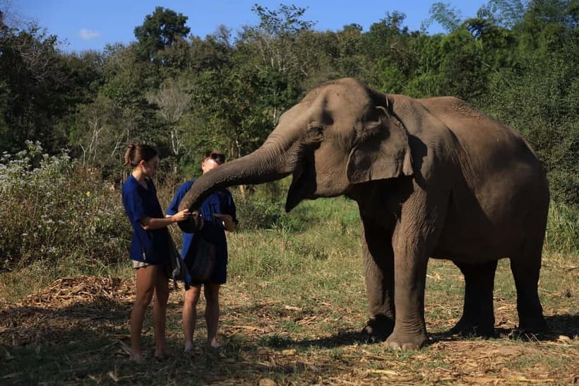 Chiang Mai: Elephant Sanctuary Bamboo Raft & Padthai Cooking - The 1.5-hour drive into northern Thailand