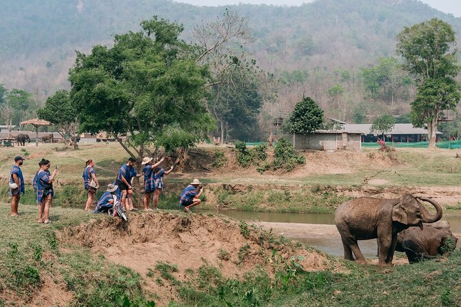 Chiang Mai Elephant Sanctuary, Bamboo Rafting and Waterfall Tour - Guides Paul, Fluke, and Mr. Poppy