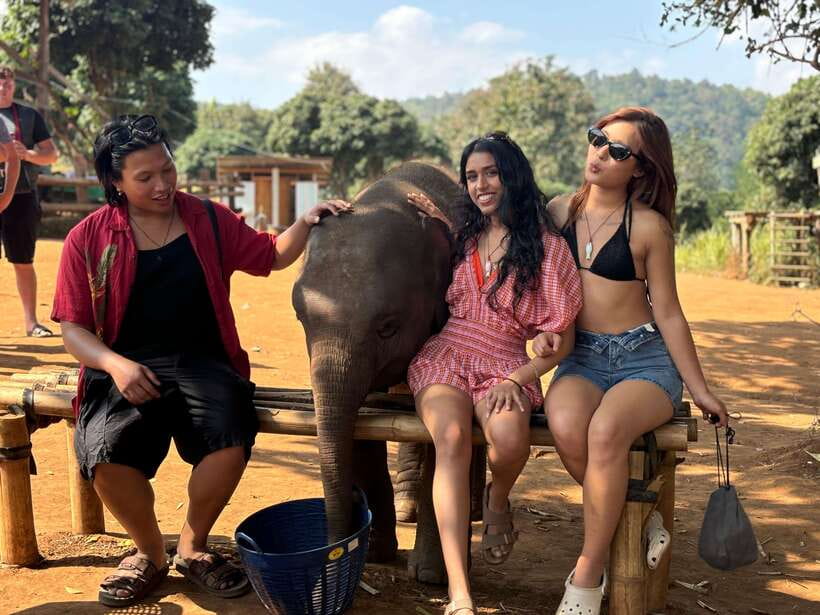 Chiang Mai: Elephant Sanctuary Feeding Program Half-Day Tour - Key points to know before you go