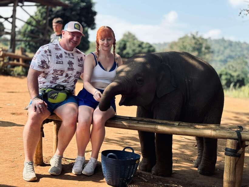 Chiang Mai: Elephant Sanctuary Feeding Program Half-Day Tour - Feeding time with Napier grass, bananas, and sugarcane