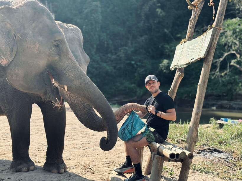 Chiang Mai: Elephant Sanctuary Feeding Program Half-Day Tour - A nature walk through the sanctuary