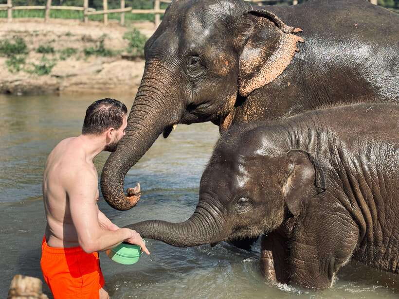 Chiang Mai: Elephant Sanctuary Feeding Program Half-Day Tour - What the $27 price really buys you