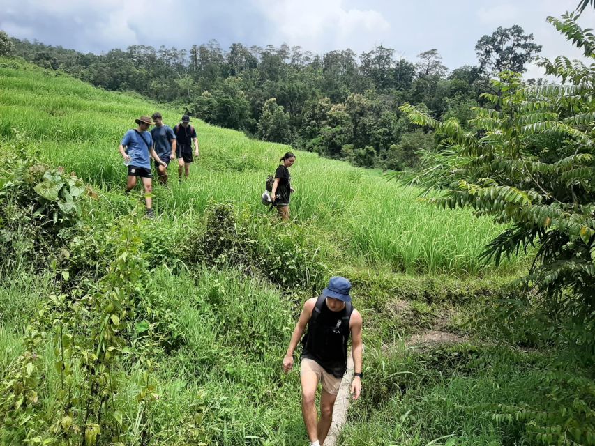 Chiang Mai: Elephant Sanctuary & Jungle Trek w/ Waterfall - Key Points Before You Book