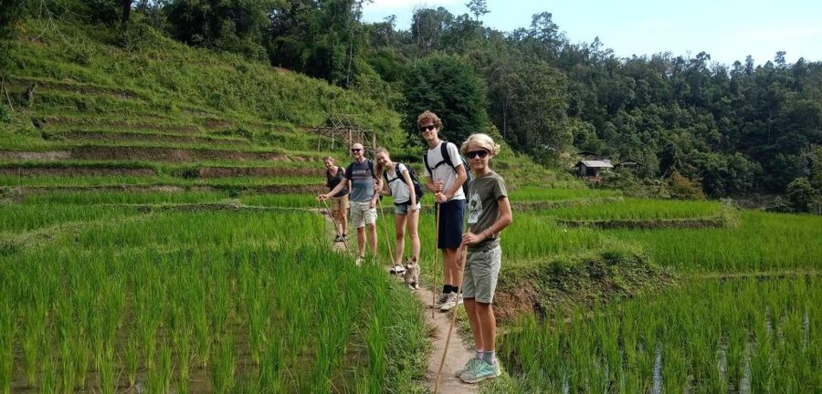 Chiang Mai: Elephant Sanctuary & Jungle Trek w/ Waterfall - The Guides Can Make or Break the Day