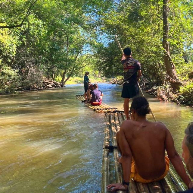 Chiang Mai: Elephant Sanctuary & Jungle Trek w/ Waterfall - Is $61 a Fair Price?