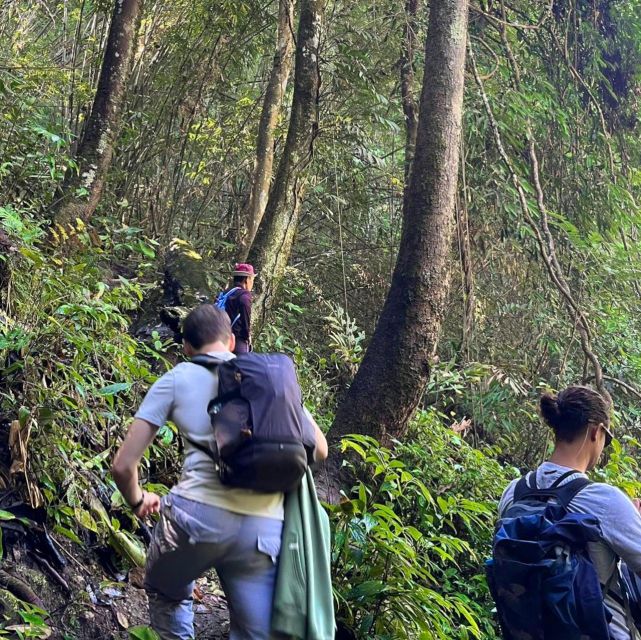 Chiang Mai: Elephant Sanctuary & Jungle Trek w/ Waterfall - Who Should Book This Day Out?
