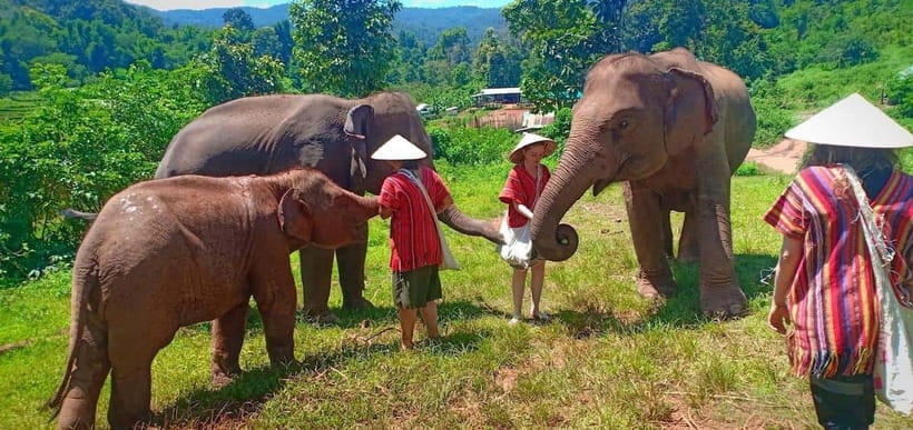 Chiang Mai: Elephant Sanctuary Local Hill Tribe Caretakers - Key points before you book