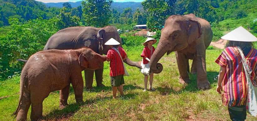 Chiang Mai: Elephant Sanctuary Local Hill Tribe Caretakers - Who should book this experience