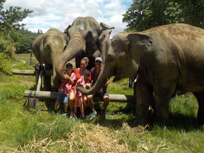Chiang Mai: Elephant Sanctuary Local Hill Tribe Caretakers - Why this Chiang Mai elephant outing feels different