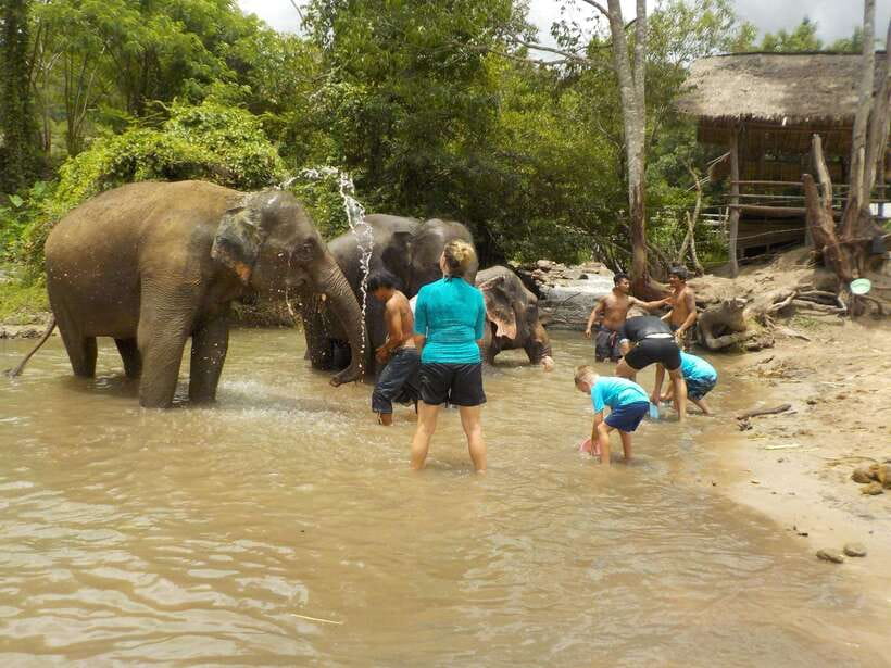 Chiang Mai: Elephant Sanctuary Local Hill Tribe Caretakers - A traditional Thai lunch in peaceful surroundings