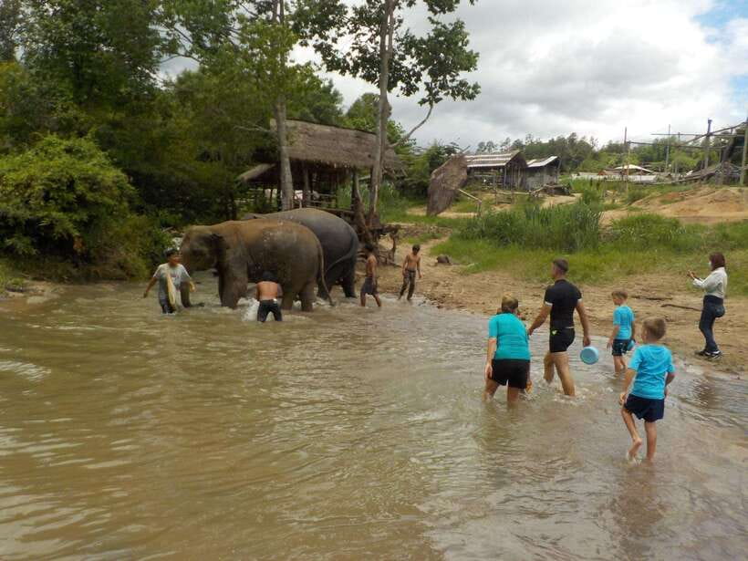 Chiang Mai: Elephant Sanctuary Local Hill Tribe Caretakers - The one-hour forest walk to Mae Wang Waterfall