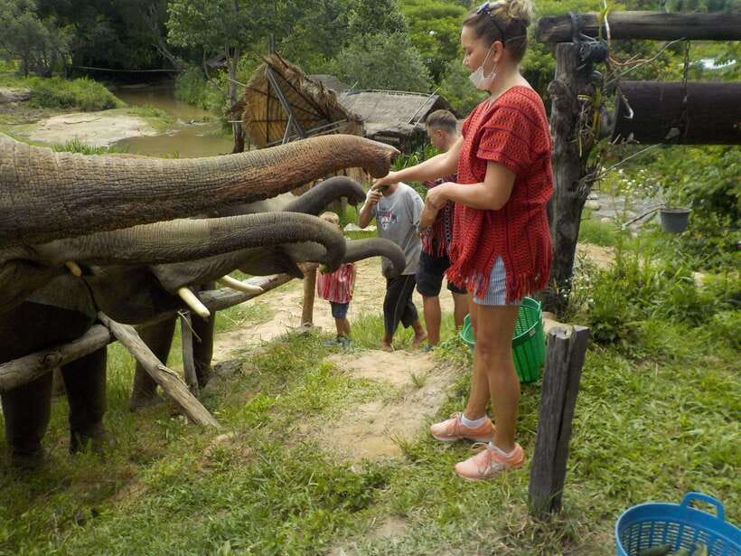 Chiang Mai: Elephant Sanctuary Local Hill Tribe Caretakers - What the $51 price really includes