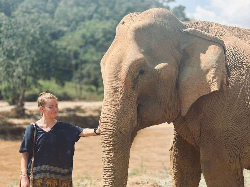 Chiang Mai: Elephant Sanctuary, Long Neck & Sticky Waterfall - Key details at a glance