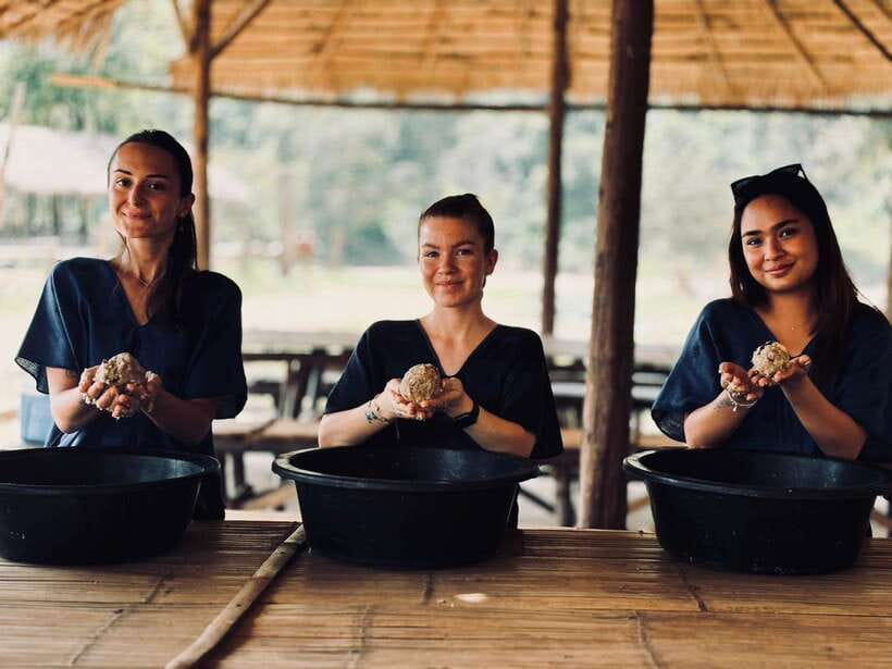 Chiang Mai: Elephant Sanctuary, Long Neck & Sticky Waterfall - Value, comfort, and what to bring