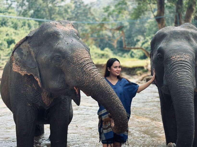 Chiang Mai: Elephant Sanctuary, Long Neck & Sticky Waterfall - Preparing food and meeting the elephants