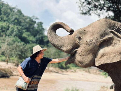 Elephant Sanctuary, Long Neck & Sticky Waterfall