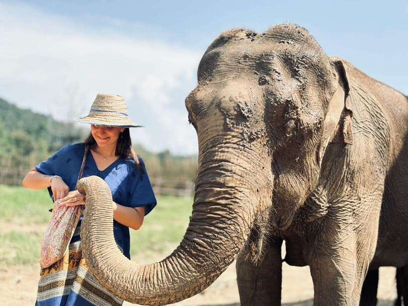 Chiang Mai: Elephant Sanctuary, Long Neck & Sticky Waterfall - A Thai lunch with one important caveat