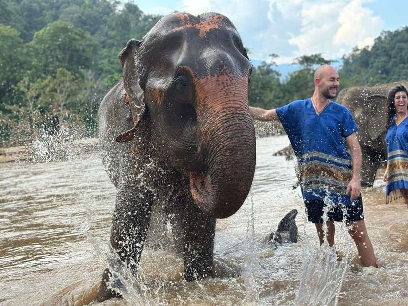 Chiang Mai: Elephant Sanctuary, Long Neck & Sticky Waterfall - Guide service is the tour’s quiet advantage