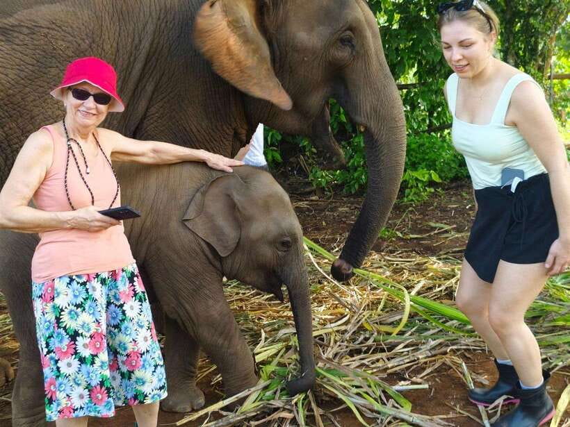 Chiang Mai: Elephant Sanctuary, Monk Trail & Doi Suthep Tour - Walking through Wat Pha Lat and the Monk Trail