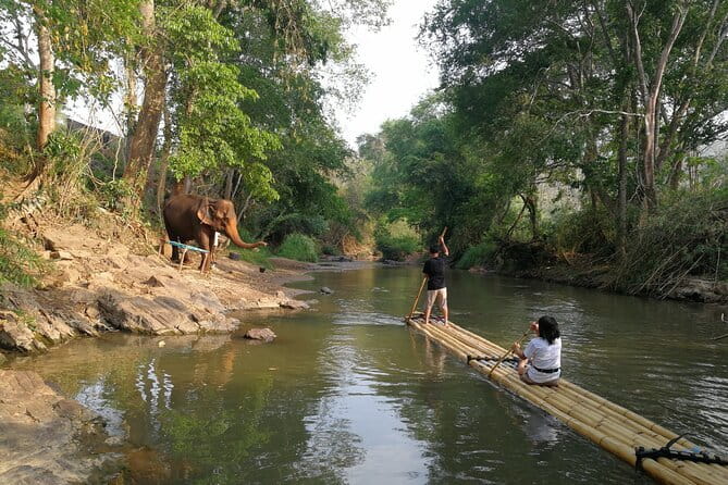 Chiang Mai Elephant Sanctuary Observation and Bamboo Rafting - Preparing elephant food without turning it into a show