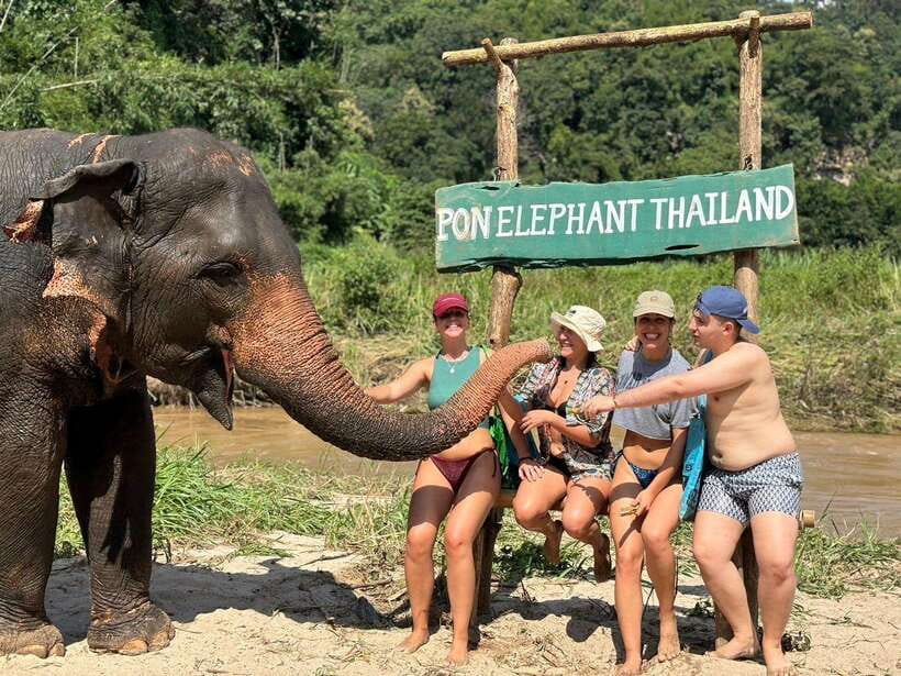 Chiang Mai: Elephant Sanctuary, Waterfall & Bamboo Rafting - Key points to know before booking