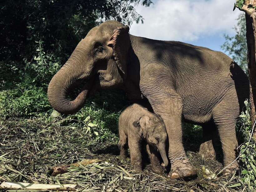 Chiang Mai: Elephant Sanctuary, Waterfall & Bamboo Rafting - The road southwest from Chiang Mai