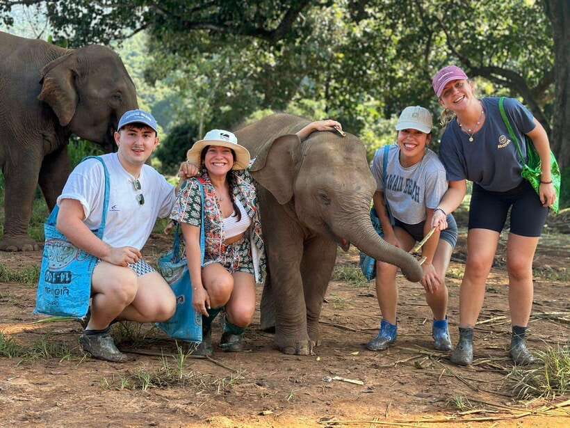 Chiang Mai: Elephant Sanctuary, Waterfall & Bamboo Rafting - Meeting the rescued elephants at Pon Elephant Thailand