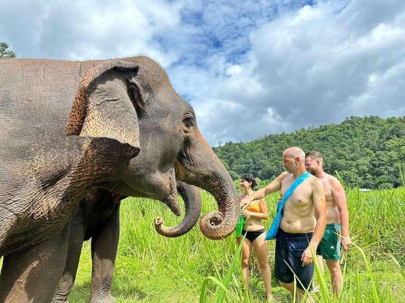 Chiang Mai: Elephant Sanctuary, Waterfall & Bamboo Rafting - Walking through the forest with elephants