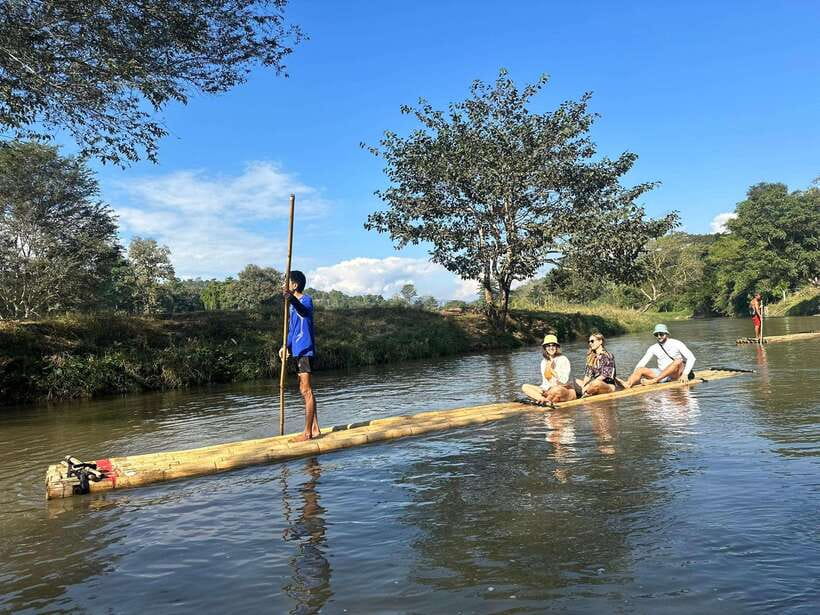 Chiang Mai: Elephant Sanctuary, Waterfall & Bamboo Rafting - Thai lunch and a closer look at elephant care