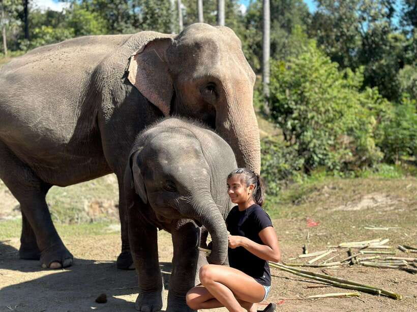 Chiang Mai: Elephant Sanctuary, Waterfall & Bamboo Rafting - Bamboo rafting on the Mae Wang River