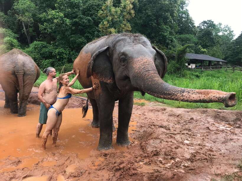 Chiang Mai: Elephant Sanctuary & Waterfall Group Tour - Thai lunch, fruit, and a welcome break