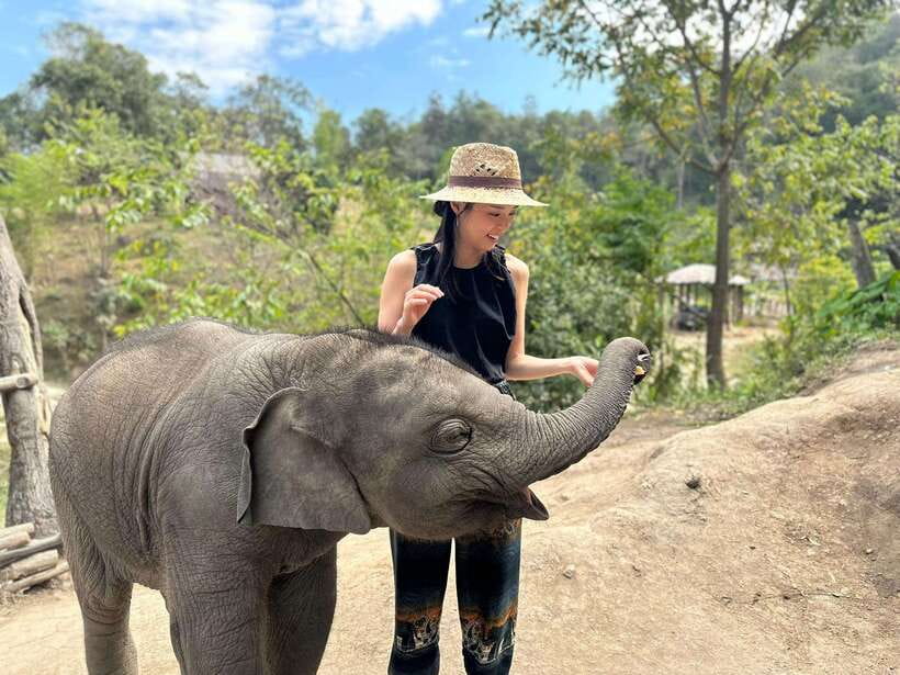 Chiang Mai: Elephant Sanctuary & Waterfall Group Tour - Hiking to Mae Wang Waterfall