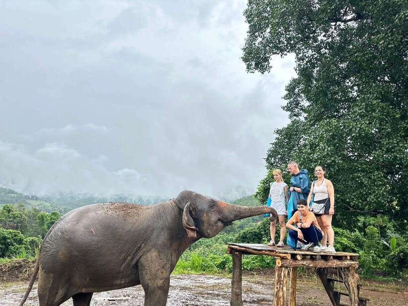 Chiang Mai: Elephant Sanctuary & Waterfall Group Tour - How the guides shape the day
