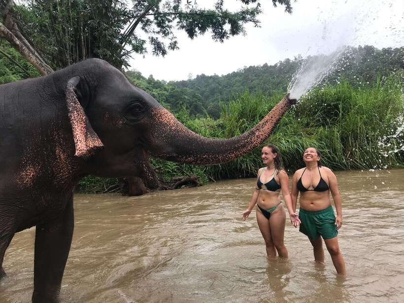Chiang Mai: Elephant Sanctuary & Waterfall Group Tour - Price, timing, and what you receive