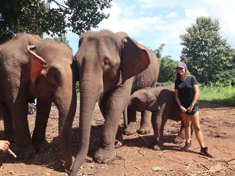 Chiang Mai: Elephant Sanctuary & Waterfall Group Tour - Meeting the rescued elephants at Pon Elephant Thailand