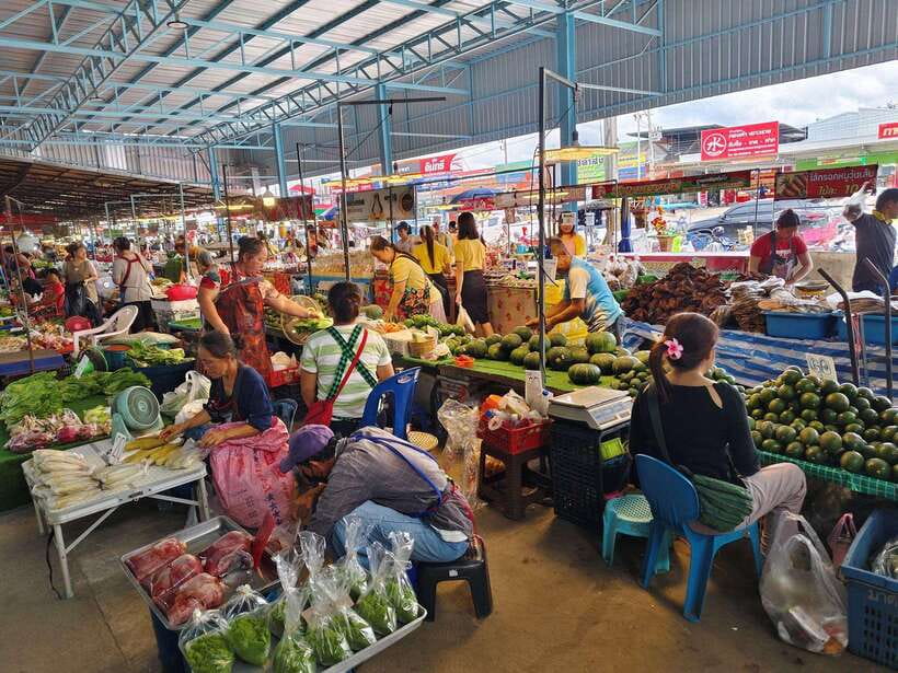 Chiang Mai: Elephants, Sticky Waterfalls, Market and Temple - Key points to know before booking