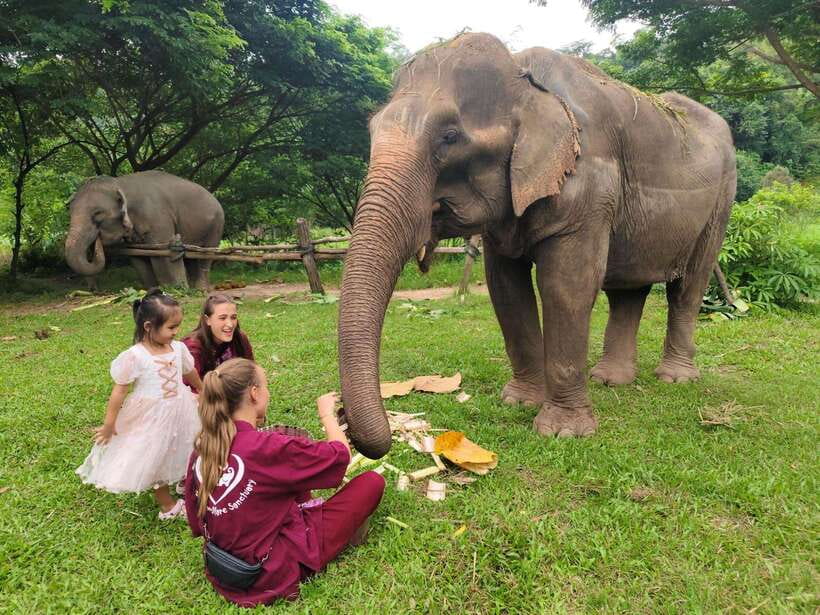 Chiang Mai: Elephants, Sticky Waterfalls, Market and Temple - A long day with four very different Chiang Mai experiences