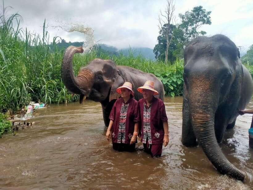 Chiang Mai: Elephants, Sticky Waterfalls, Market and Temple - Bua Thong Sticky Waterfalls: the day’s most playful stop